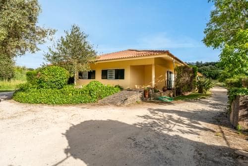 PF40273 - Herdade 1.4 ha, Mucifal, Sintra - Imagem 4