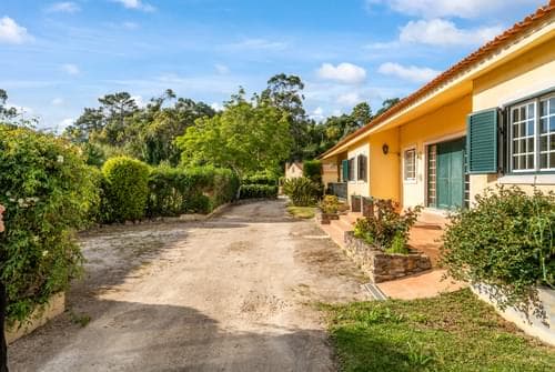PF40273 - Herdade 1.4 ha, Mucifal, Sintra - Imagem 16