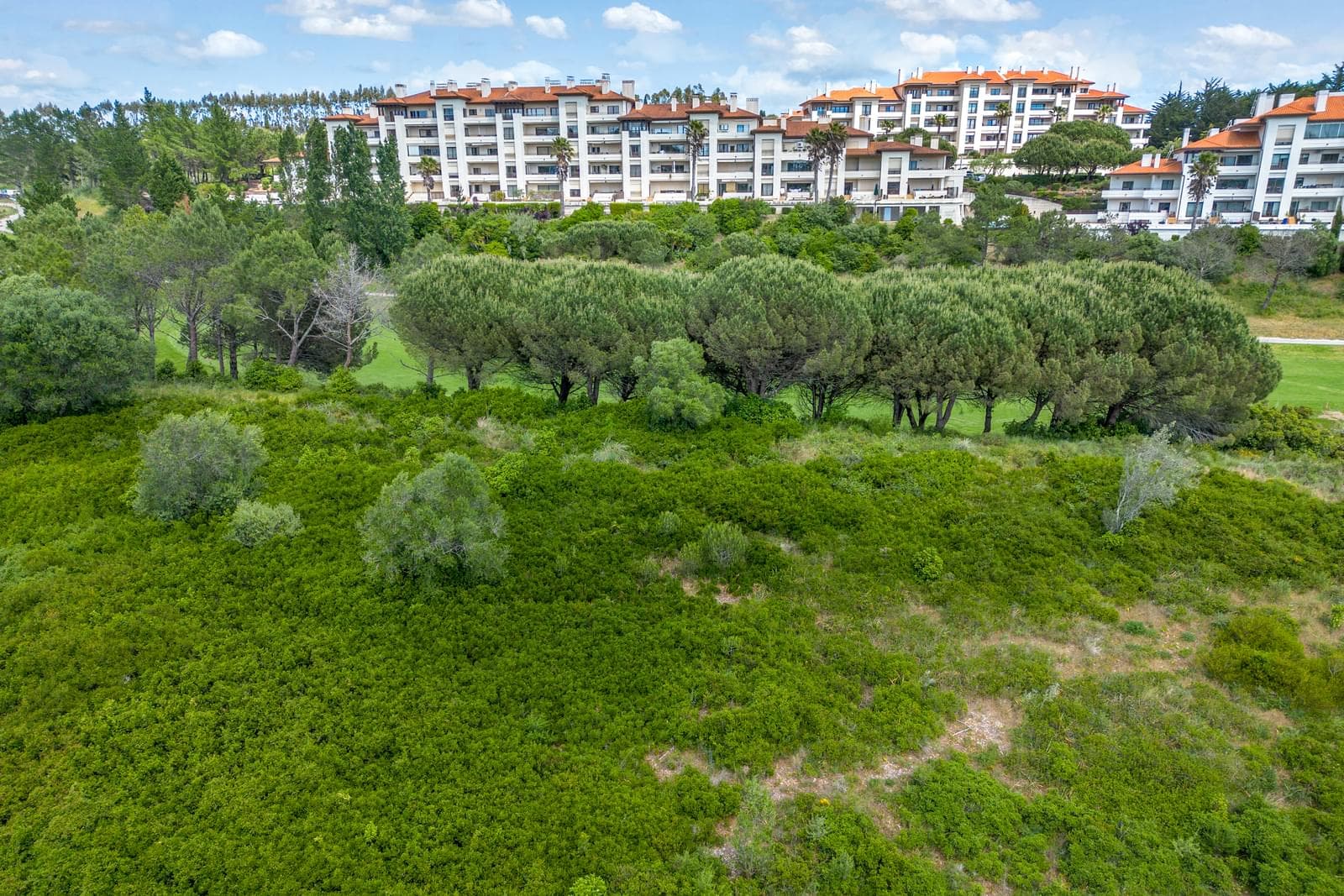 Terreno Urbano 5430 m2, Belas Clube de Campo, Sintra - Imagem 16
