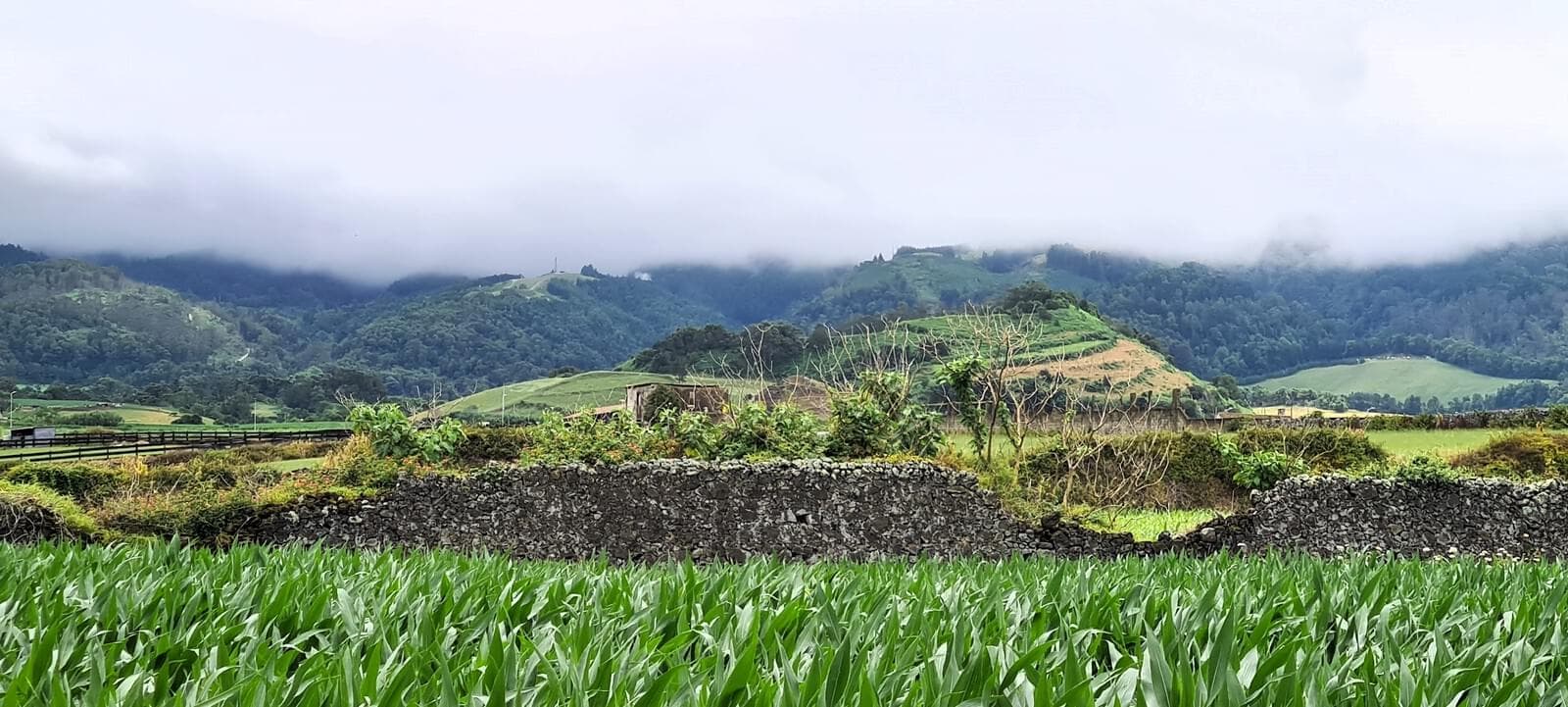 Mãe de Água - Ilha de São Miguel - Imagem 31