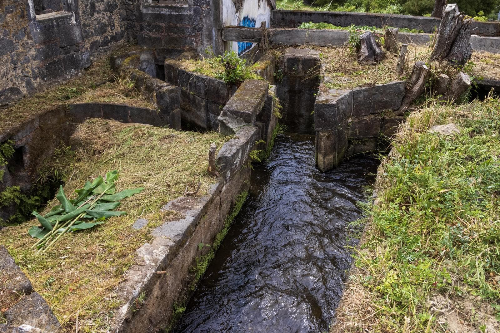Mãe de Água - Ilha de São Miguel - Imagem 12