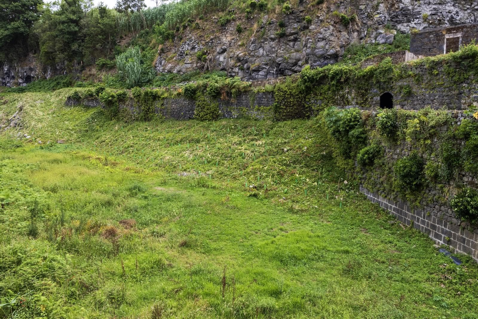 Mãe de Água - Ilha de São Miguel - Imagem 21