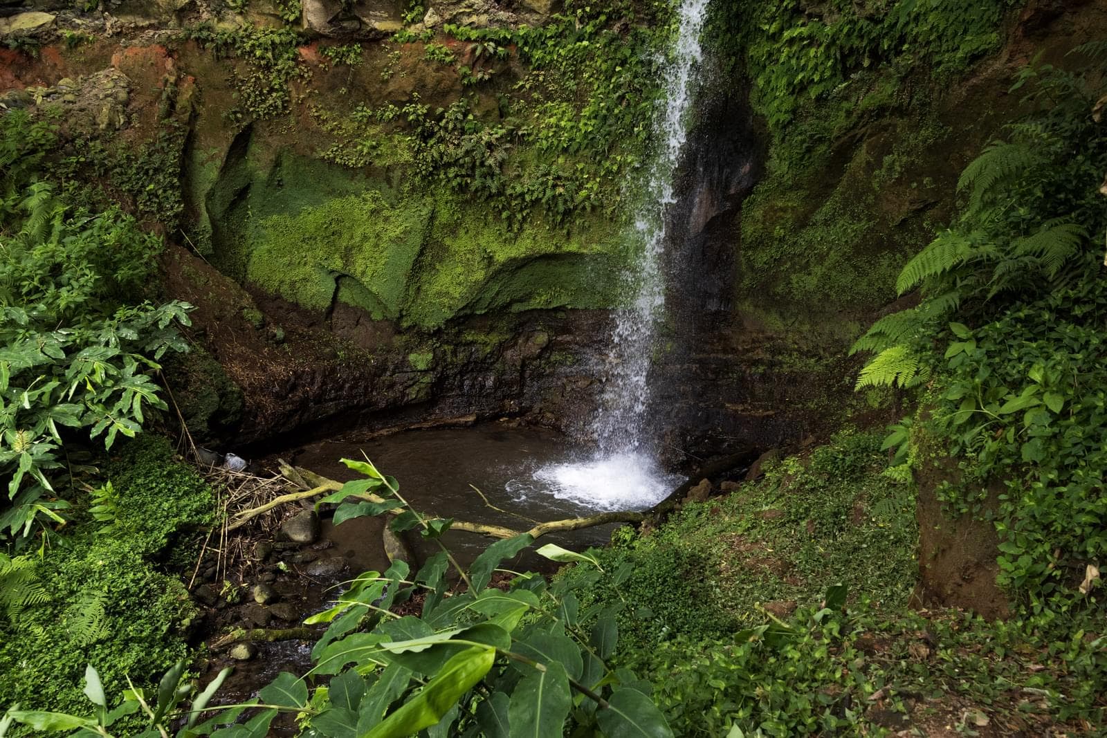 Mãe de Água - Ilha de São Miguel - Imagem 4