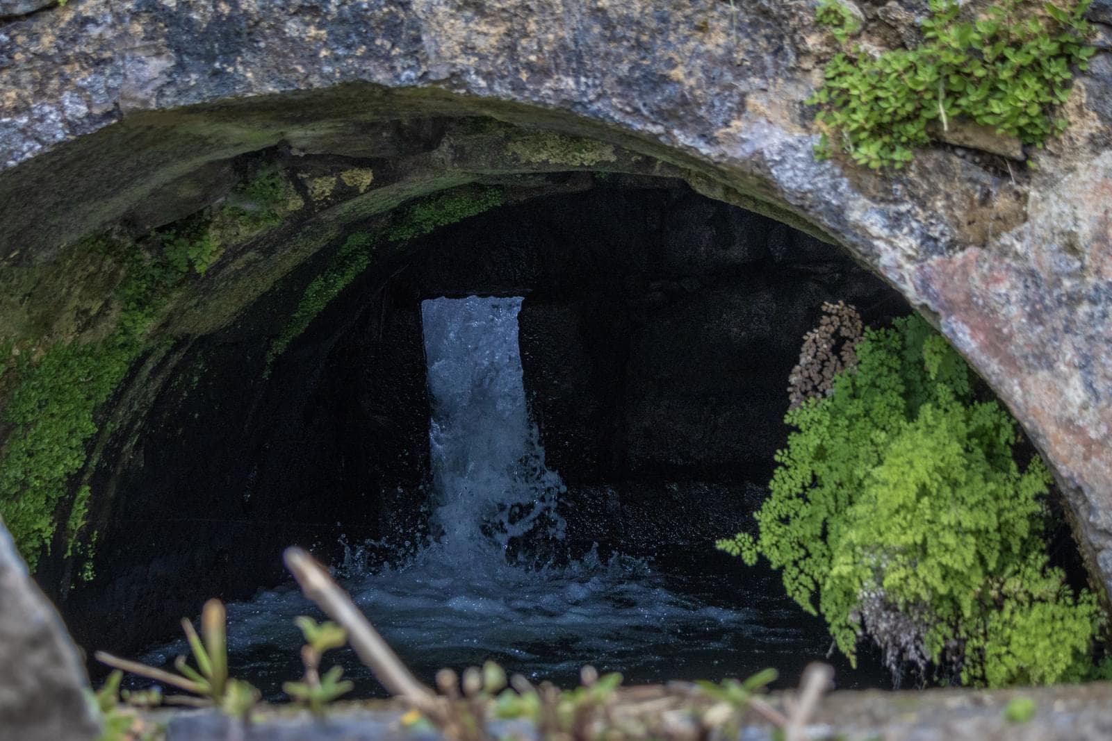 Mãe de Água - Ilha de São Miguel - Imagem 13