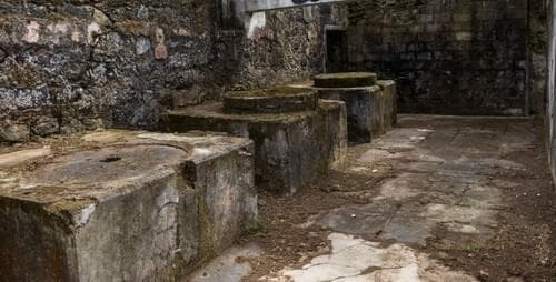 PF40342 - Mãe de Água - Ilha de São Miguel - Image 16