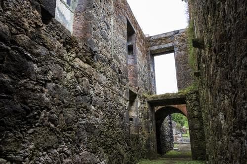 PF40342 - Mãe de Água - Ilha de São Miguel - Image 15