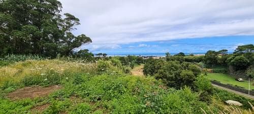 PF40342 - Mãe de Água - Ilha de São Miguel - Image 24