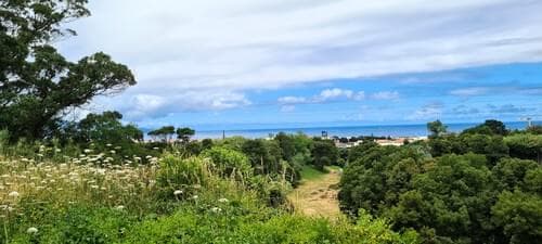 PF40342 - Mãe de Água - Ilha de São Miguel - Image 25