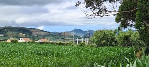 PF40342 - Mãe de Água - Ilha de São Miguel - Image 29