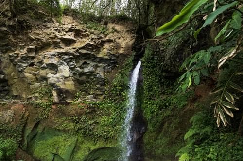 PF40342 - Mãe de Água - Ilha de São Miguel - Image 2