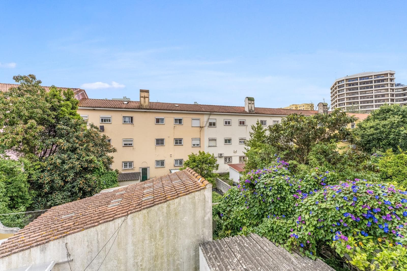 Apartamento T2, Alvalade, Lisboa - Imagem 13
