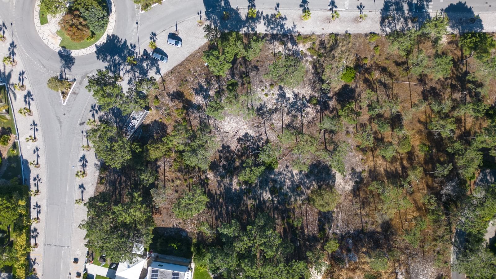 Lote 6139 m2, Soltroia, Grandola - Imagem 24