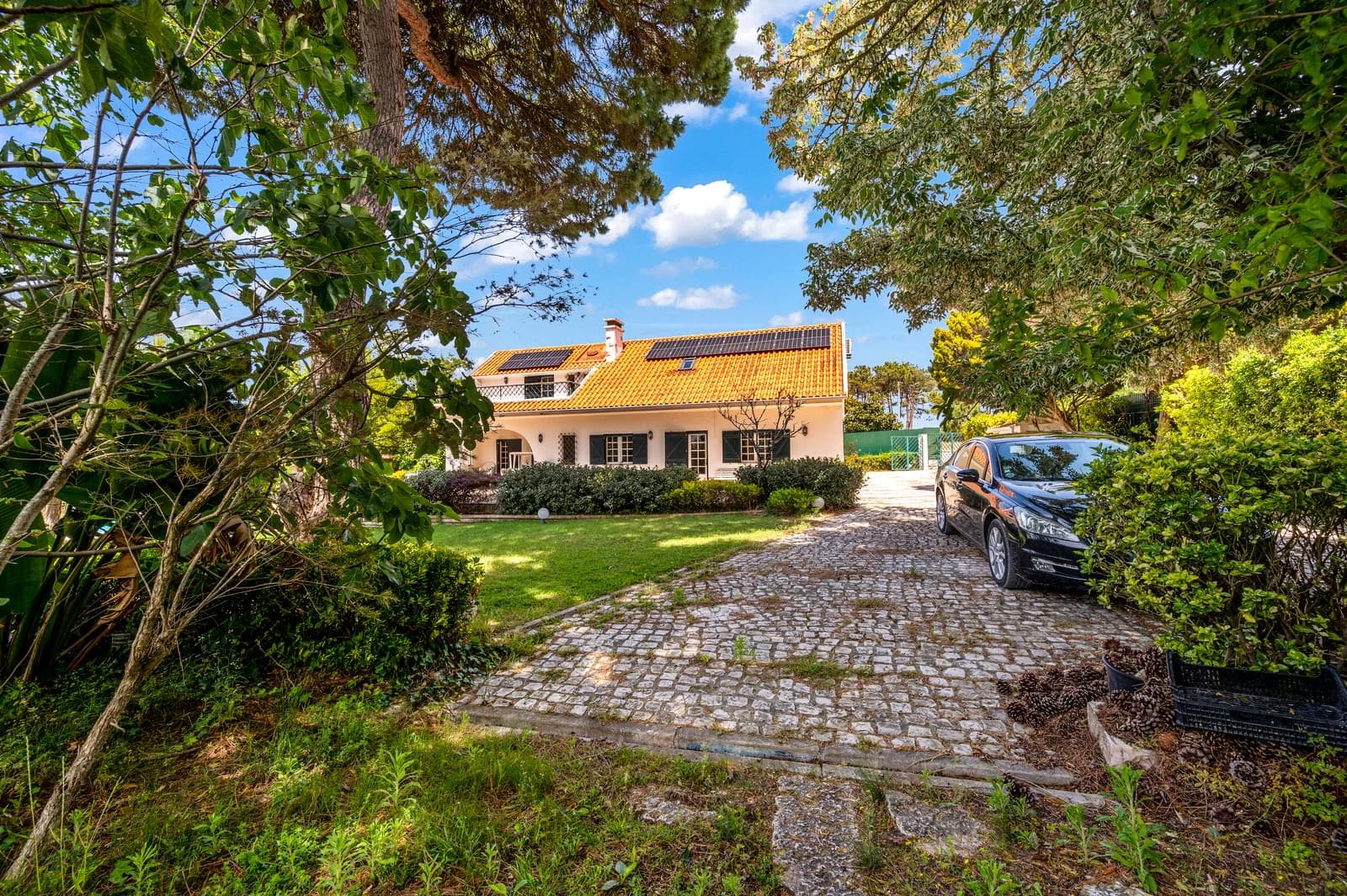 Quinta 7872 m2, Lagoa de Albufeira, Sesimbra - Imagem 12