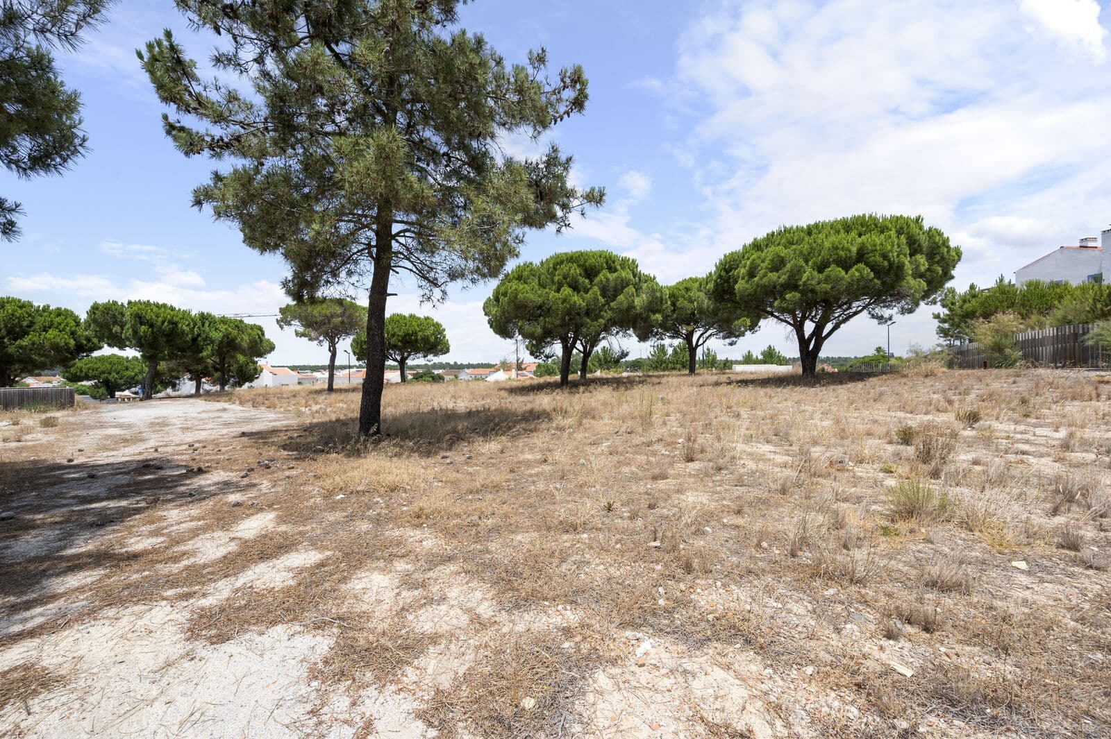 Lote 997 m2, Carvalhal, Grandola - Imagem 7