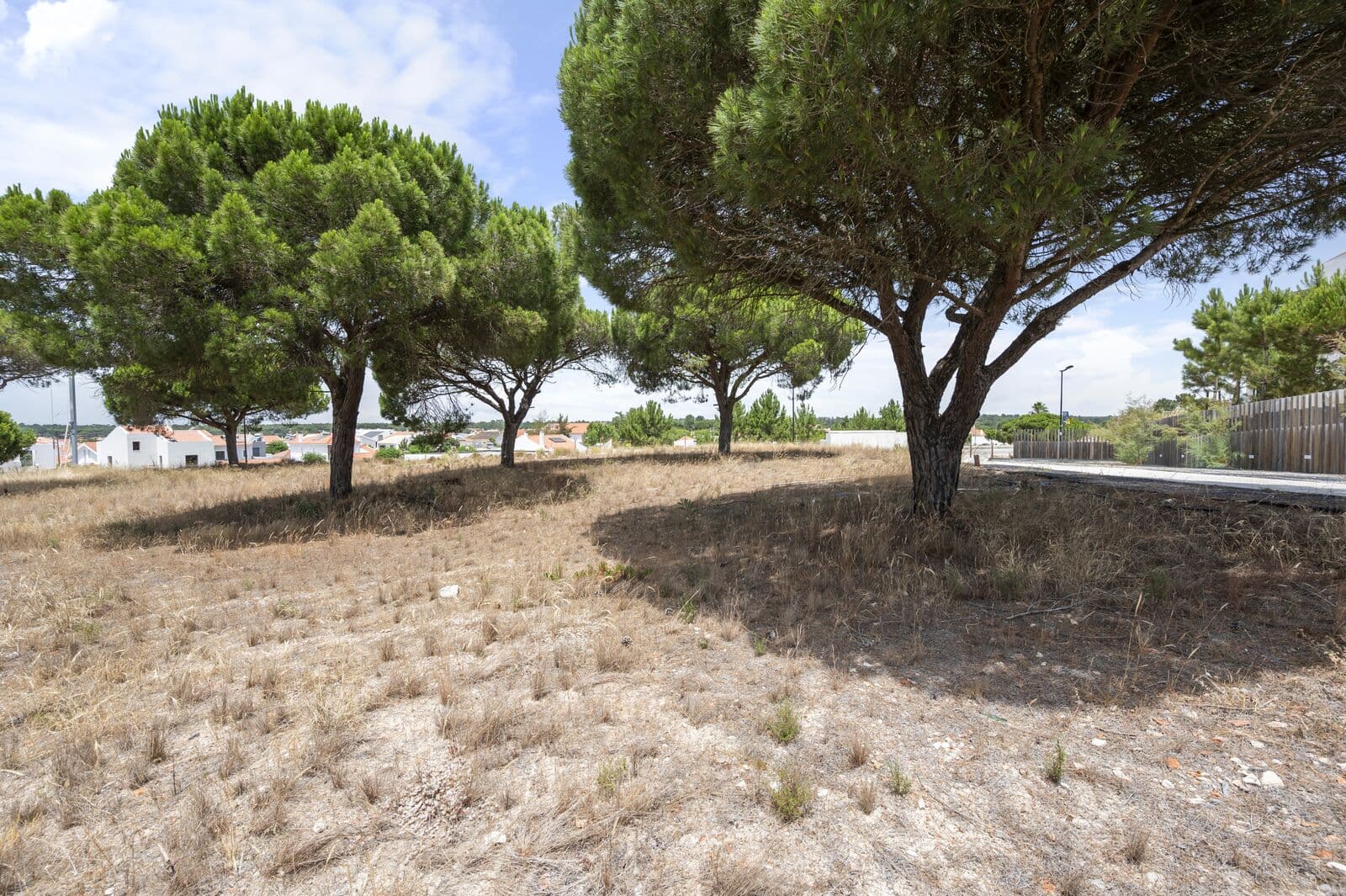 Lote 997 m2, Carvalhal, Grandola - Imagem 6