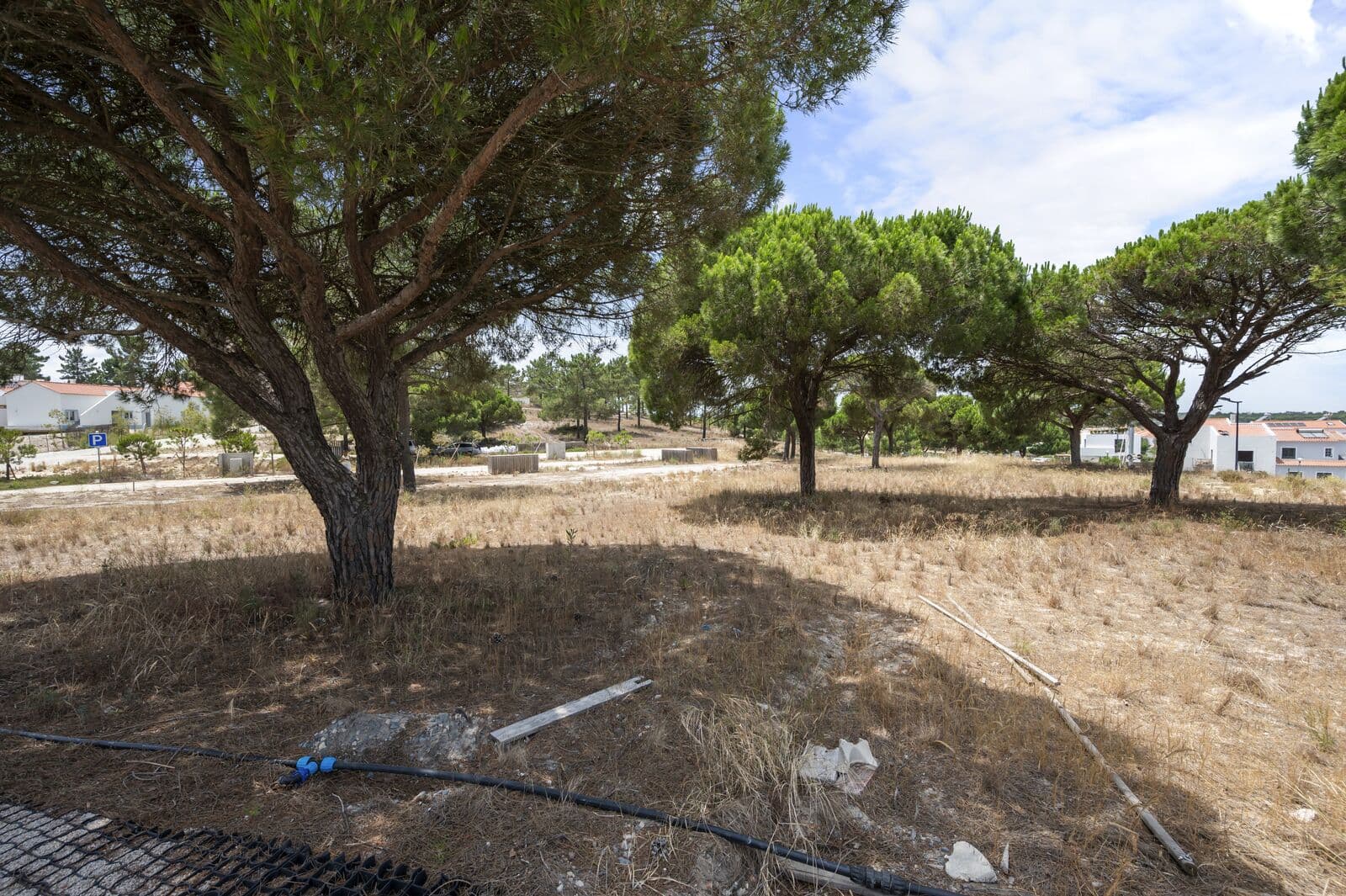 Lote 997 m2, Carvalhal, Grandola - Imagem 5