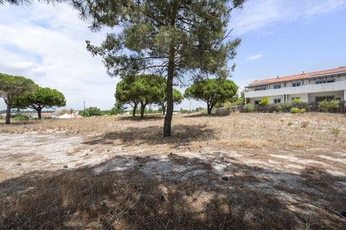 PF40722 - Terrain 997 m2, Carvalhal, Grandola - Image 17
