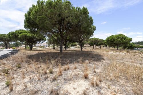 PF40722 - Terrain 997 m2, Carvalhal, Grandola - Image 3