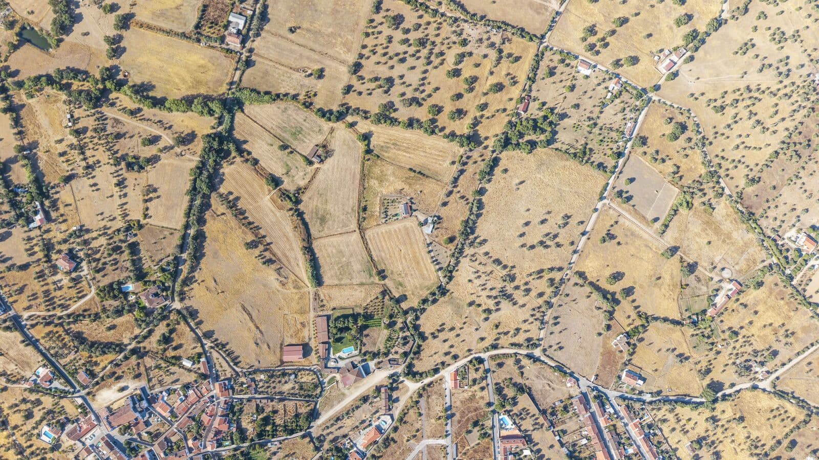 Quinta 13.9 ha, Alcáçovas, Viana do Alentejo - Imagem 76
