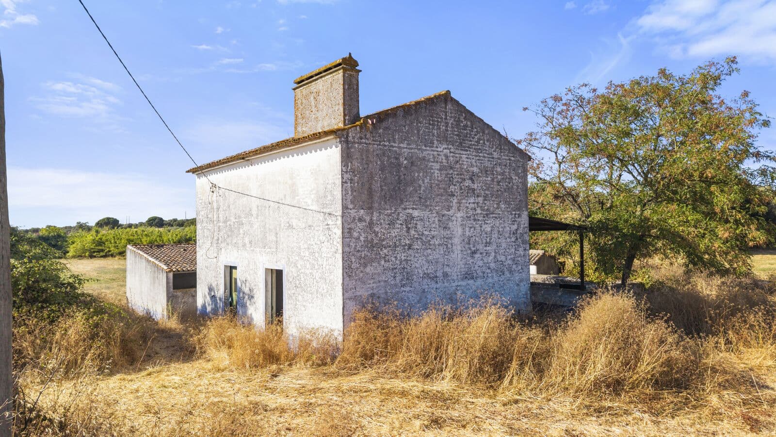 Quinta 13.9 ha, Alcáçovas, Viana do Alentejo - Imagem 71