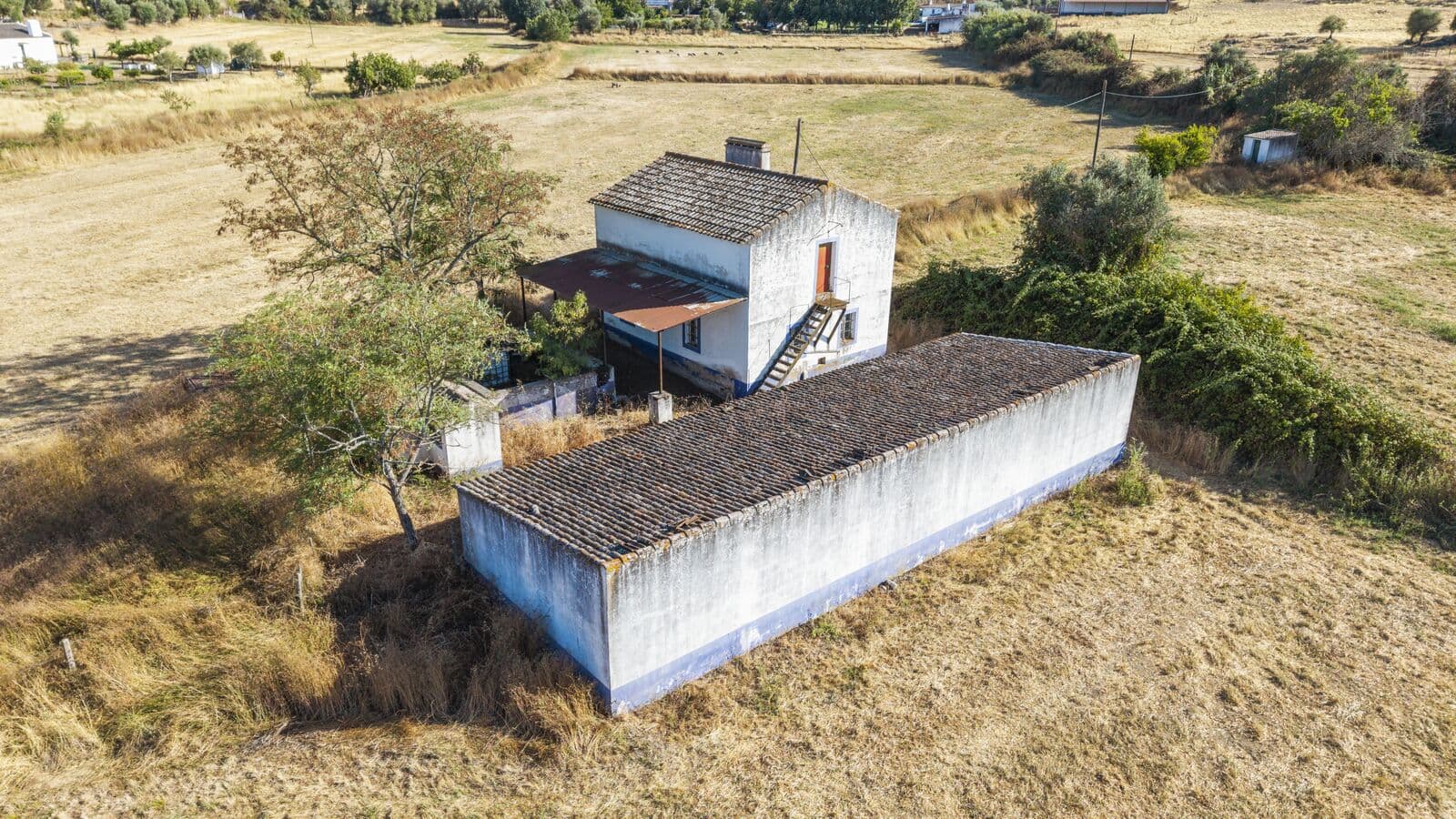 Quinta 13.9 ha, Alcáçovas, Viana do Alentejo - Imagem 72