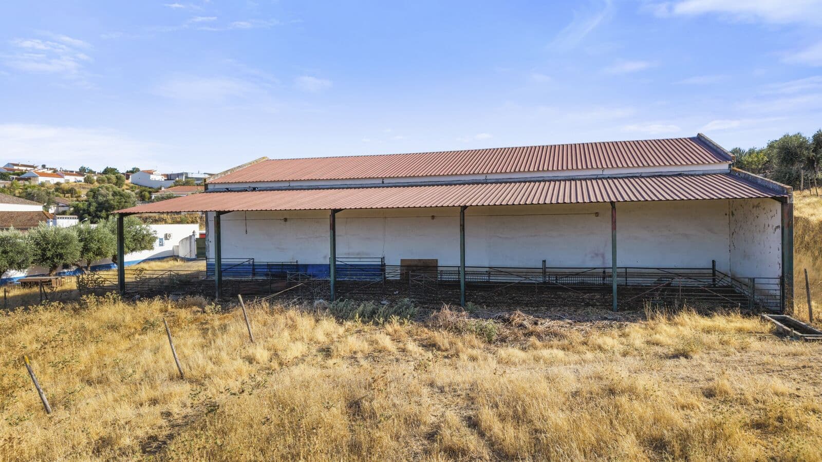 Quinta 13.9 ha, Alcáçovas, Viana do Alentejo - Imagem 75