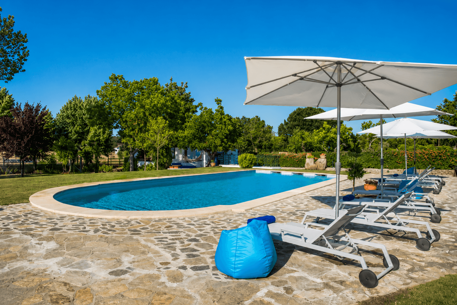 Quinta 13.9 ha, Alcáçovas, Viana do Alentejo - Imagem 59