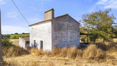 PF40756 - Quinta 13.9 ha, Alcáçovas, Viana do Alentejo - Imagem 70
