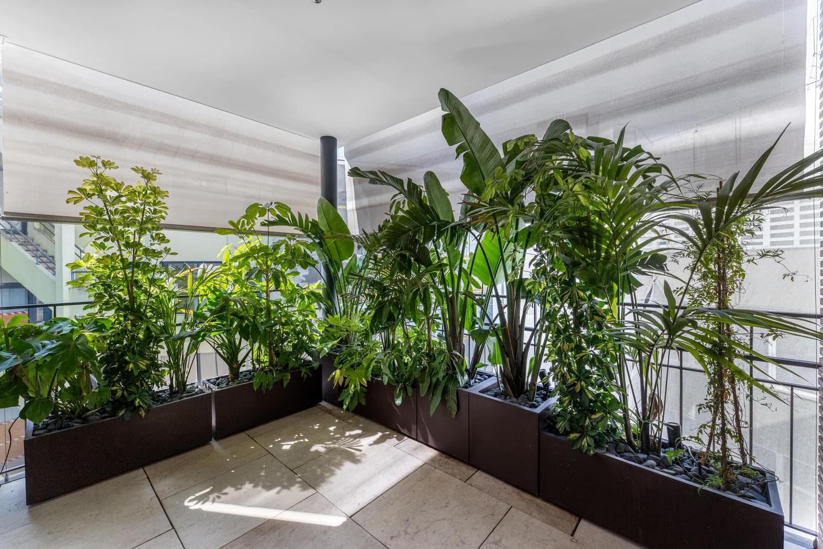 Apartamento T4 com terraço, Saldanha, Lisboa - Imagem 6