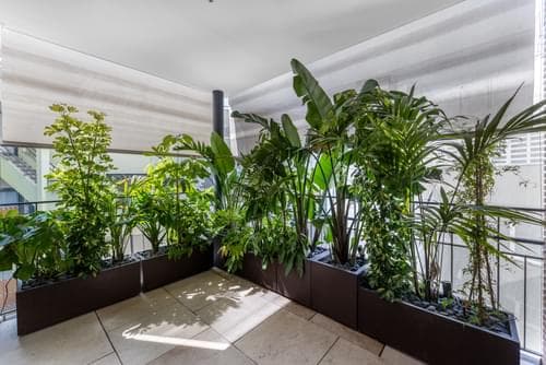PF40765 - Apartamento T4 com terraço, Saldanha, Lisboa - Imagem 5