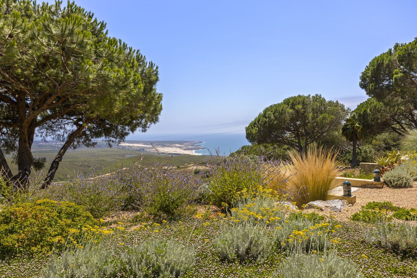 Quinta 1.7 ha, Malveira da Serra, Cascais - Imagem 20