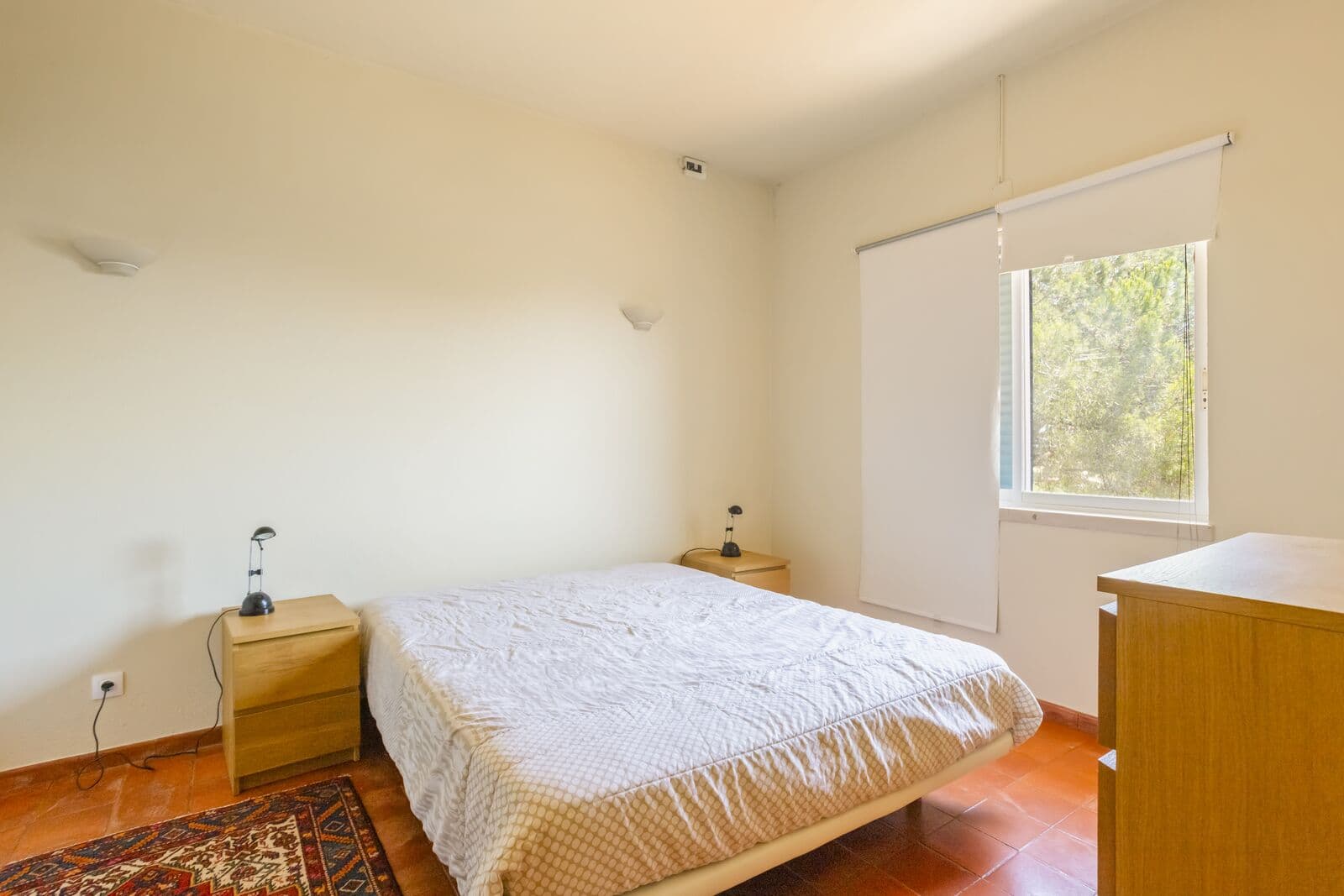 Quinta 1.7 ha, Malveira da Serra, Cascais - Imagem 45