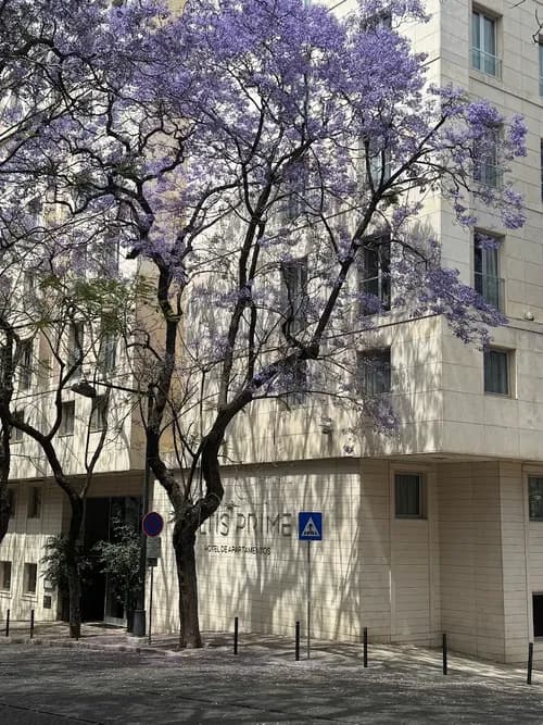 PF40875 - Apartamento T1 com estacionamento, Marquês de Pombal, Lisboa - Imagem 24