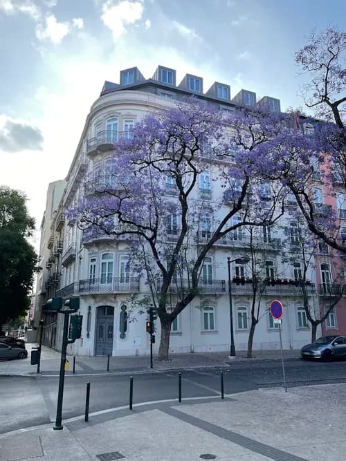 PF40876 - Apartamento T1 com estacionamento, Marquês de Pombal, Lisboa - Imagem 21