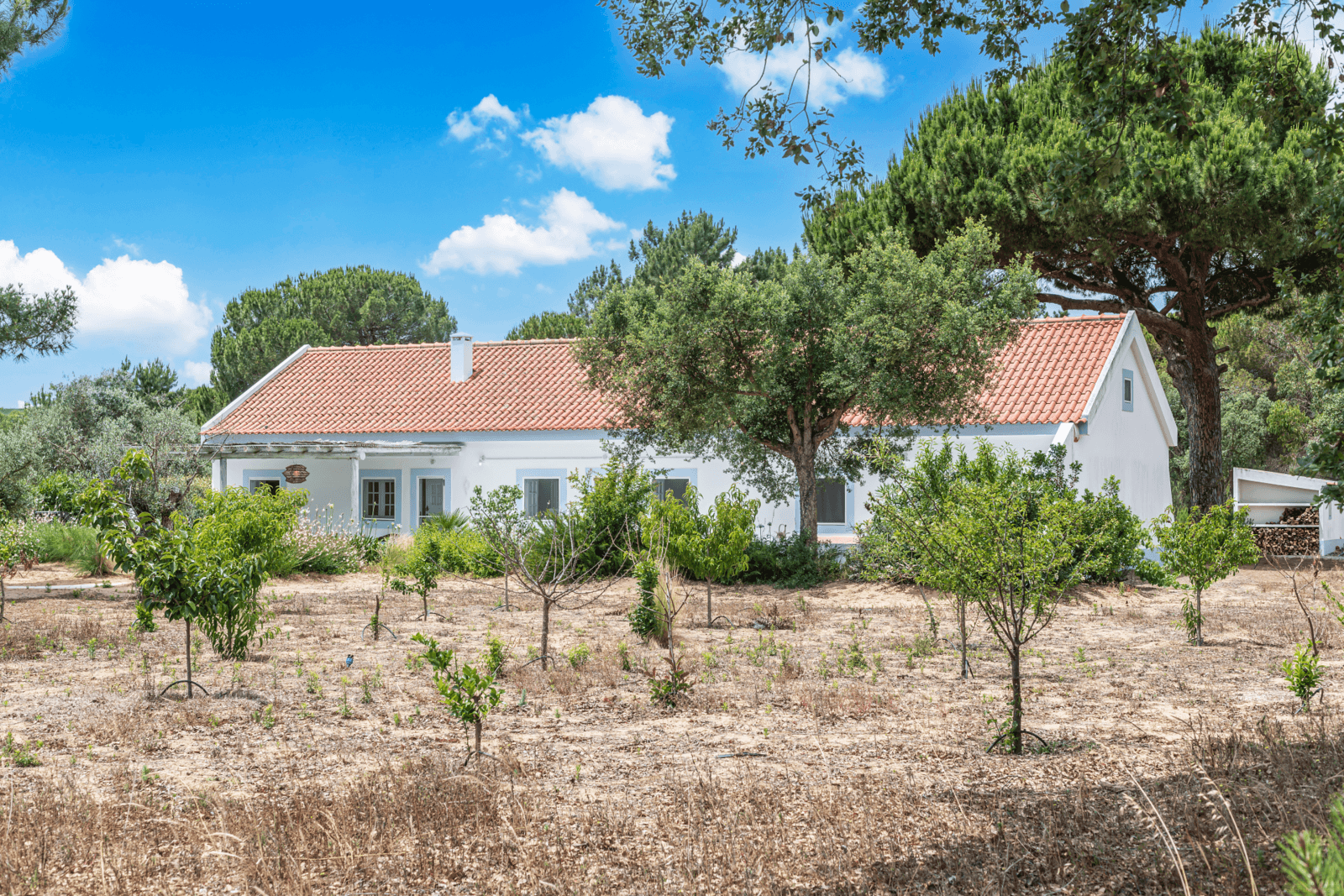 Quinta 4.6 ha, Melides, Grândola - Imagem 5