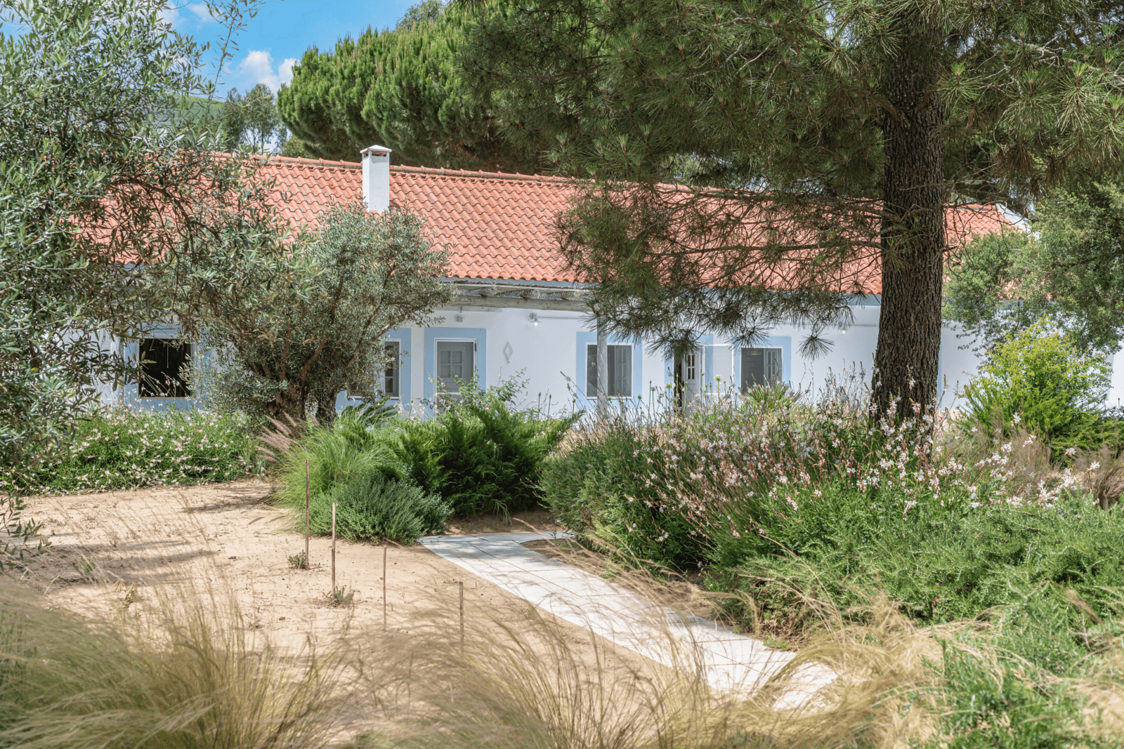 Quinta 4.6 ha, Melides, Grândola - Imagem 4