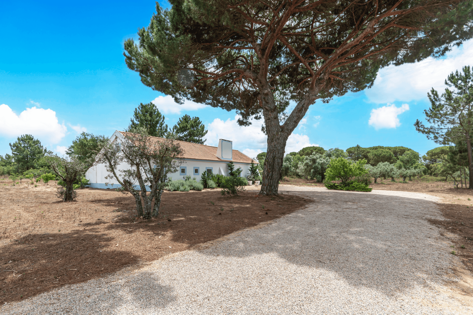 Quinta 4.6 ha, Melides, Grândola - Imagem 2