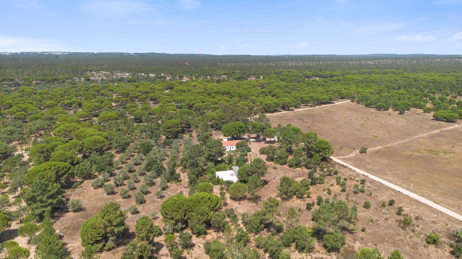 Quinta 4.6 ha, Melides, Grandola - Imagem 7