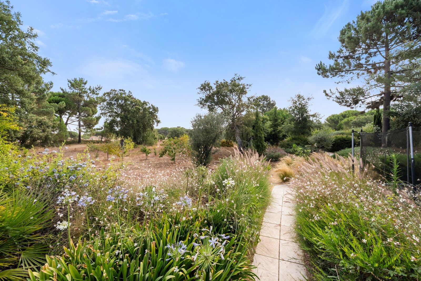 Quinta 4.6 ha, Melides, Grandola - Imagem 35