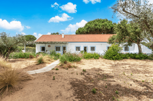 PF40998 - Quinta 4.6 ha, Melides, Grandola - Imagem 6