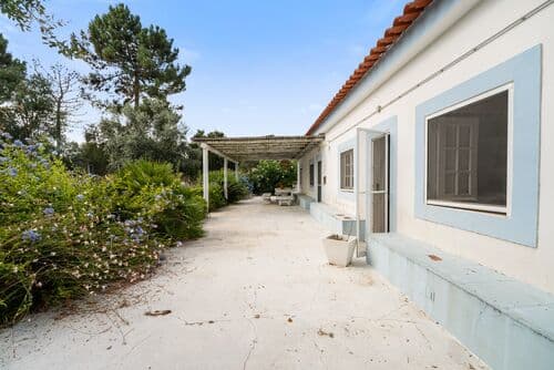 PF40998 - Ferme 4.6 ha, Melides, Grandola - Image 4