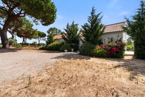 PF40998 - Ferme 4.6 ha, Melides, Grandola - Image 38