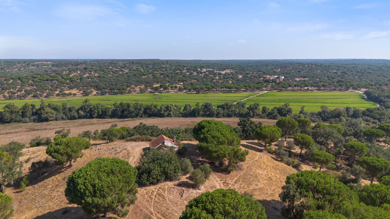Herdade 176.6 ha, Montemor-o-Novo - Imagem 1