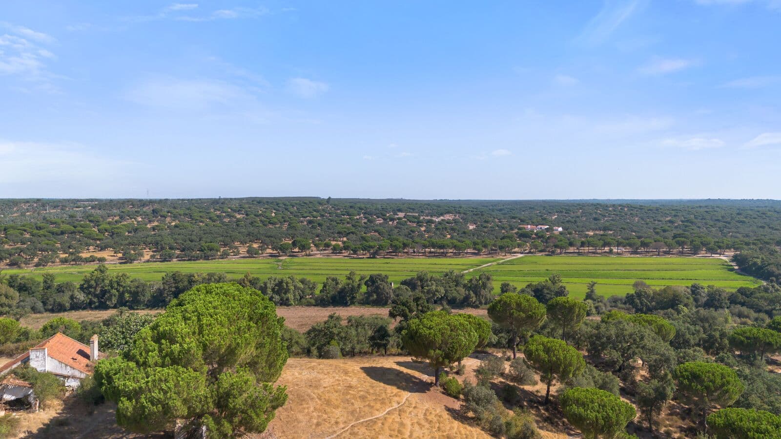 Herdade 176.6 ha, Montemor-o-Novo - Imagem 10