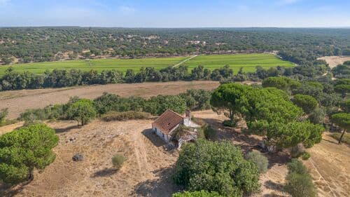PF41106 - Herdade 176.6 ha, Montemor-o-Novo - Imagem 3