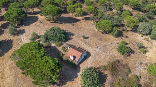PF41106 - Herdade 176.6 ha, Montemor-o-Novo - Imagem 4