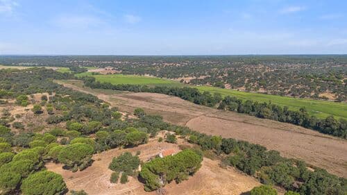 PF41106 - Herdade 176.6 ha, Montemor-o-Novo - Imagem 13
