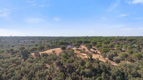 PF41106 - Herdade 176.6 ha, Montemor-o-Novo - Imagem 14
