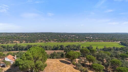 PF41106 - Herdade 176.6 ha, Montemor-o-Novo - Imagem 10