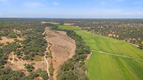 PF41106 - Herdade 176.6 ha, Montemor-o-Novo - Imagem 6
